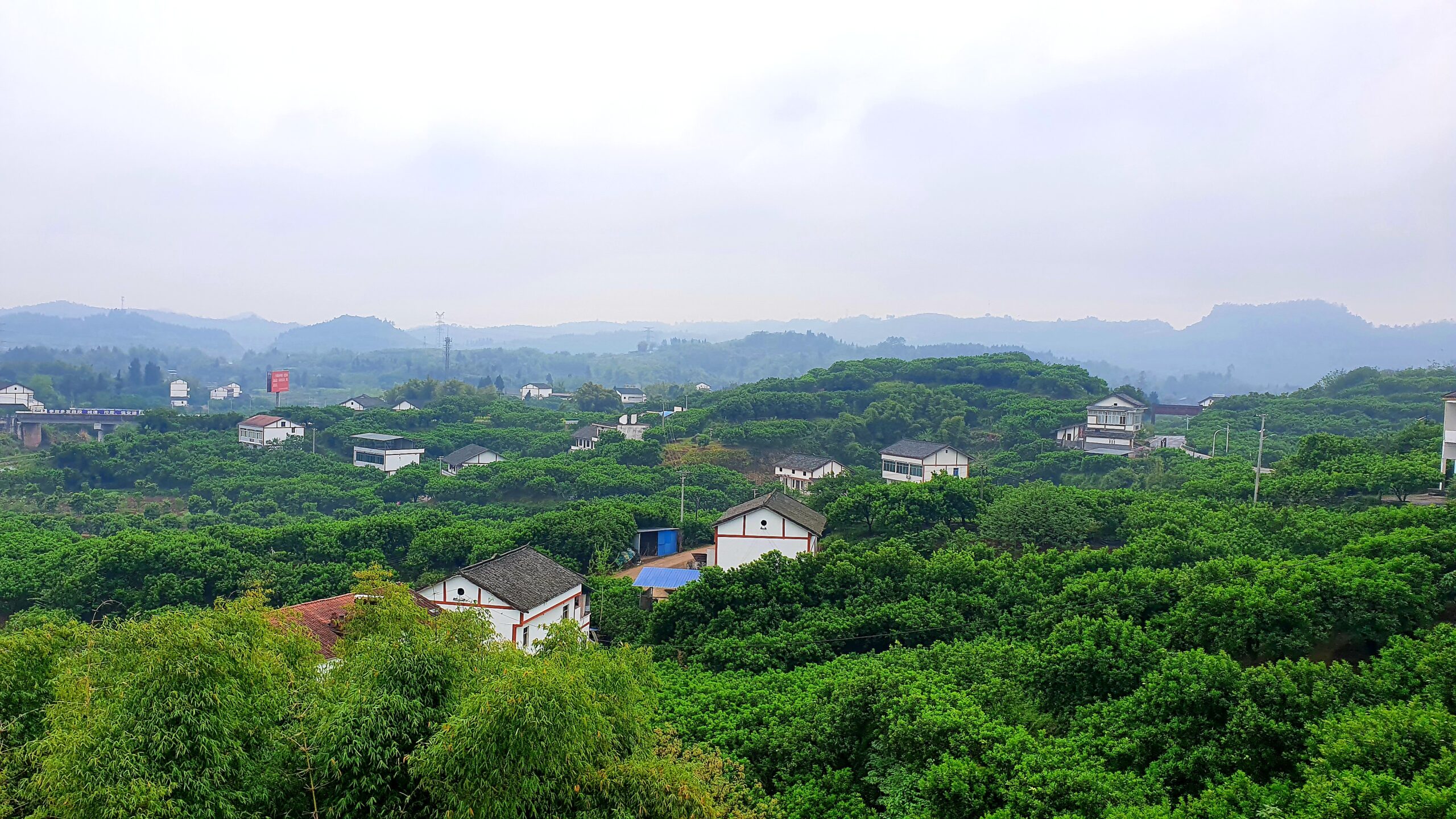 a83bc46a63b49b02e82691d3e40dc352