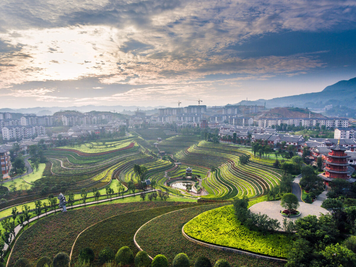 Landscape of terraced rice fields in Shexiang Ancient Town of Dafang county, Bijie city, southwest China's Guizhou province, 24 July 2018.